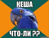 кеша что-ли ??