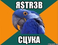 Я$TR3b СЦУКА