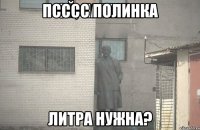 ПСССС ПОЛИНКА ЛИТРА НУЖНА?