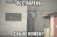 Псс, парень Соб не нужен?