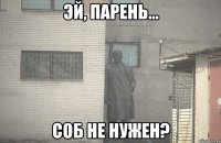  соб не нужен?