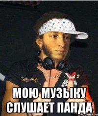  мою музыку слушает панда