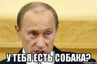  у тебя есть собака?