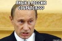 янык в россию собрался??? 