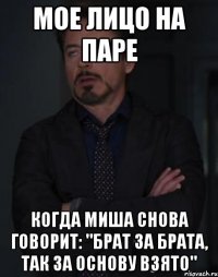 Мое лицо на паре Когда Миша снова говорит: "Брат за брата, так за основу взято"