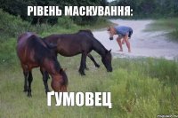 Рівень маскування: Ґумовец