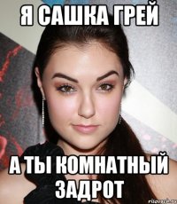 я сашка грей а ты комнатный задрот