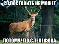СП ПОСТАВИТЬ НЕ МОЖЕТ ПОТОМУ ЧТО С ТЕЛЕФОНА