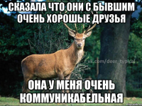 Сказала что они с бывшим очень хорошые друзья Она у меня очень коммуникабельная