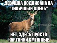 Девушка подписана на "Типичный олень" Нет, здесь просто картинки смешные