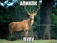 апикпк пупу