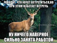 говорит, что хочет встретиться,но при этом избегает встречь ну ничего,наверное сильно занята работой
