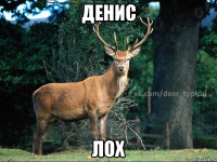 денис лох