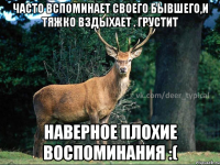часто вспоминает своего бывшего,и тяжко вздыхает . грустит наверное плохие воспоминания :(