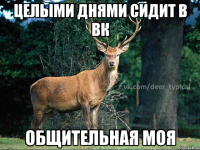 Целыми днями сидит в ВК Общительная моя