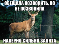Обещала позвонить, но не позвонила Наверно сильно занята