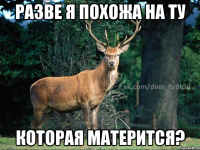 Разве я похожа на ту Которая матерится?
