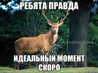 ребята правда идеальный момент скоро