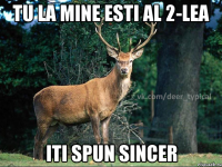 Tu la mine esti al 2-lea Iti spun sincer