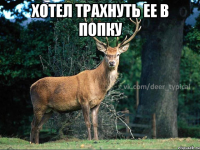 Хотел трахнуть ее в попку 