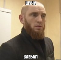 Шучу заебал