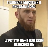 у шамиля быстрый и пиздатый заз шучу это даже тележкой не назовешь