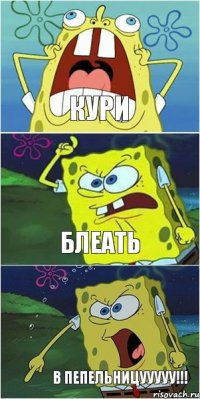 КУРИ БЛЕАТЬ В ПЕПЕЛЬНИЦУУУУУ!!!