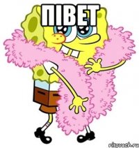 Півет 