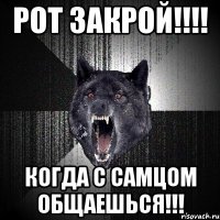 Рот закрой!!!! Когда с самцом общаешься!!!