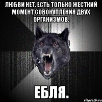 ЛЮБВИ НЕТ. ЕСТЬ ТОЛЬКО ЖЕСТКИЙ МОМЕНТ СОВОКУПЛЕНИЯ ДВУХ ОРГАНИЗМОВ. ЕБЛЯ.