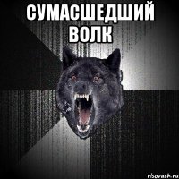 Сумасшедший волк 