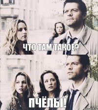 Что там такое? Пчёлы! ✪★ Supernatural World ★✪ 