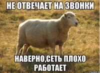 Не отвечает на звонки Наверно,сеть плохо работает