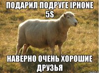 подарил подруге iphone 5s наверно очень хорошие друзья