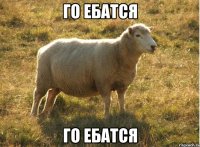 го ебатся го ебатся