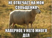 не отвечает на мои сообщения наверное у него много дел