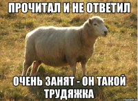 Прочитал и не ответил Очень занят - он такой трудяжка