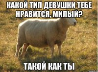 какой тип девушки тебе нравится, милый? такой как ты