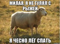 Милая, я не гулял с Рыжей я чесно лёг спать