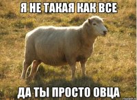 Я не такая как все да ты просто овца