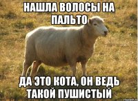 нашла волосы на пальто да это кота, он ведь такой пушистый