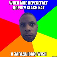 when мне перебегает дорогу black kat я загадываю wish