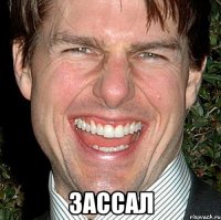  Зассал