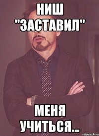 НИШ "заставил" Меня учиться...