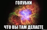 голубки что вы там делаете