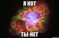 Я КОТ ТЫ-НЕТ