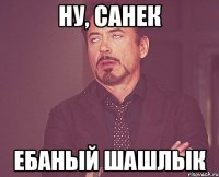 Ну, Санек ебаный шашлык