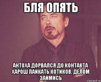 БЛЯ ОПЯТЬ АНТОХА ДОРВАЛСЯ ДО КОНТАКТА харош лайкать котиков, делом займись