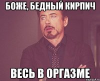 Боже, бедный кирпич весь в оргазме