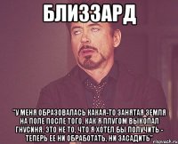 близзард "У меня образовалась какая-то занятая земля на поле после того, как я плугом выкопал гнусиня. Это не то, что я хотел бы получить - теперь ее ни обработать, ни засадить"